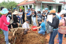 Hợp tác quốc tế - Tăng cường năng lực hệ thống khuyến nông Việt Nam
